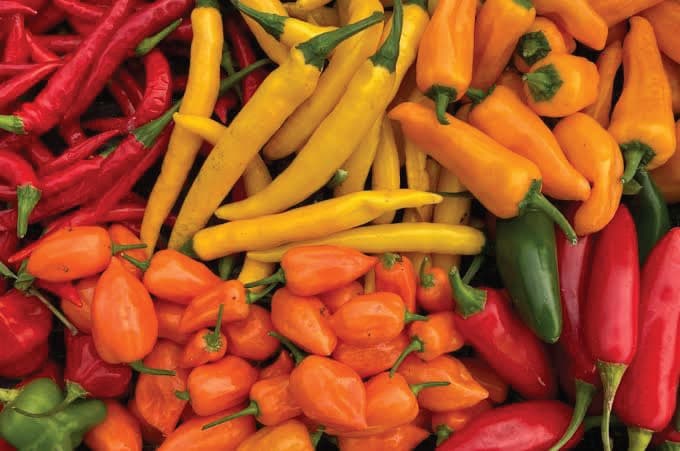 Chilli Peppers - Premium spices from Kev Frontiers